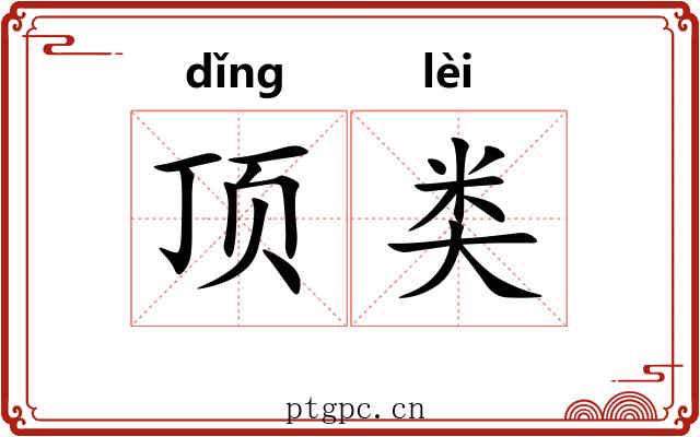 顶类 顶类