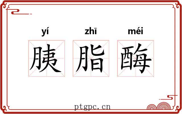 胰脂酶