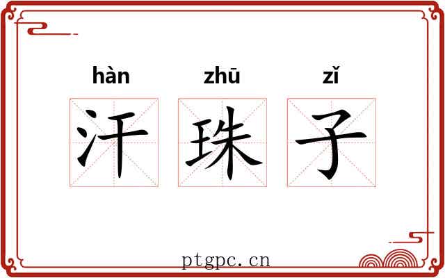 汗珠子