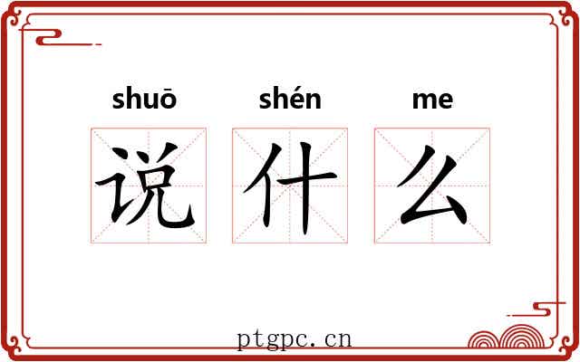 说什么