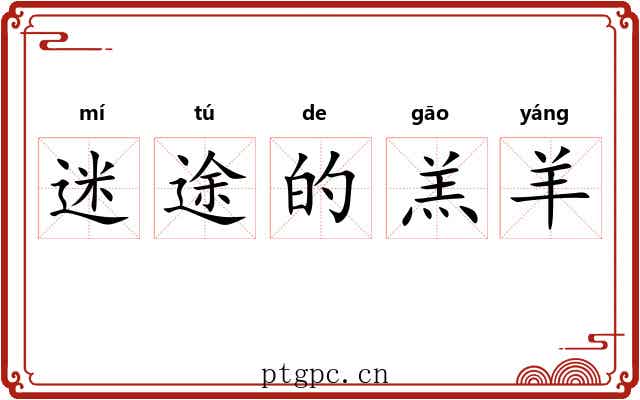 迷途的羔羊 迷途的羔羊