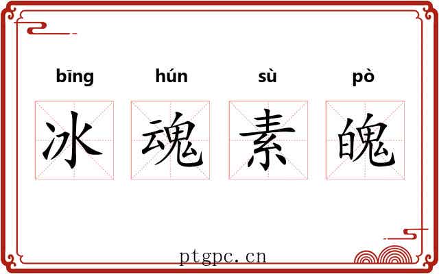 冰魂素魄 冰魂素魄
