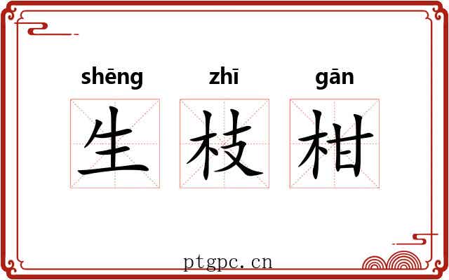 生枝柑 生枝柑