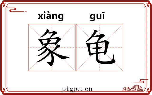 象龟 象龟