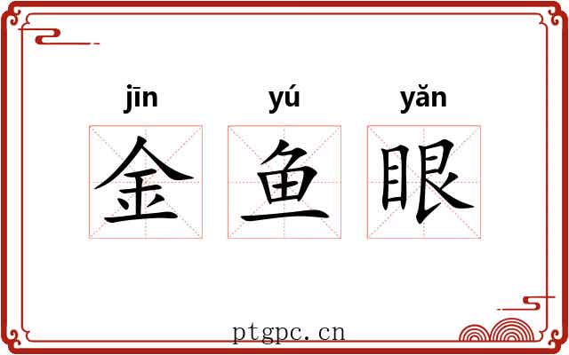 金鱼眼 金鱼眼