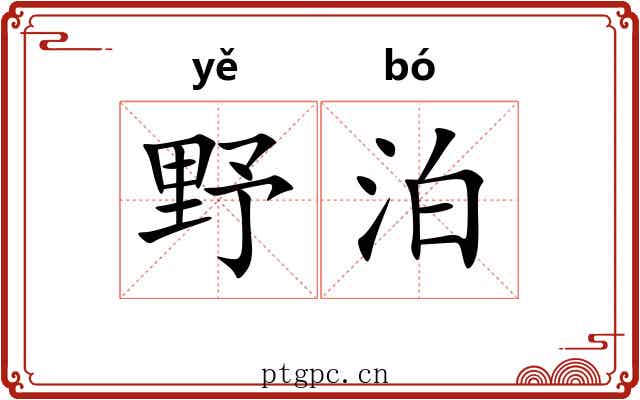 野泊