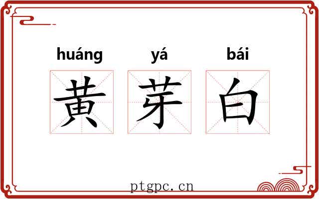 黄芽白 黄芽白