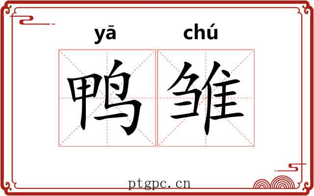 鸭雏