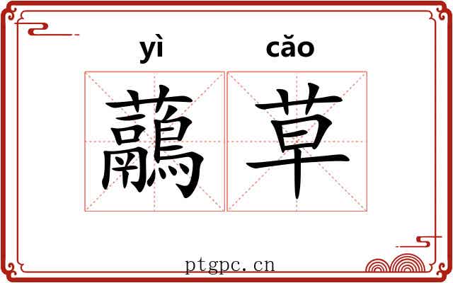 虉草 虉草
