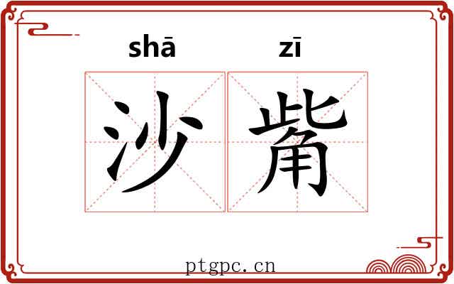 沙觜