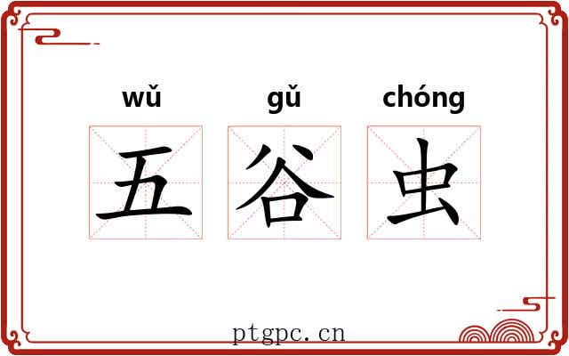 五谷虫 五谷虫