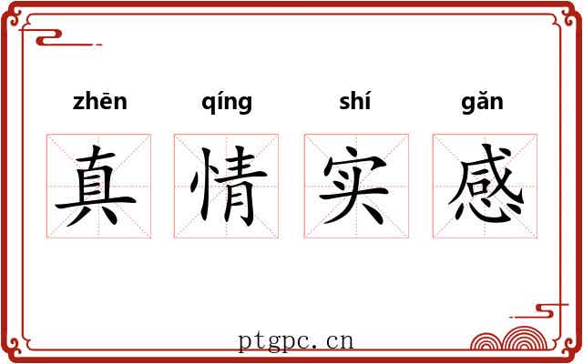 真情实感 真情实感