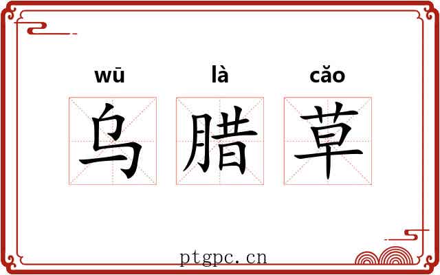 乌腊草 乌腊草