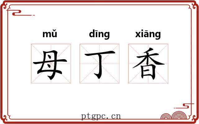母丁香 母丁香