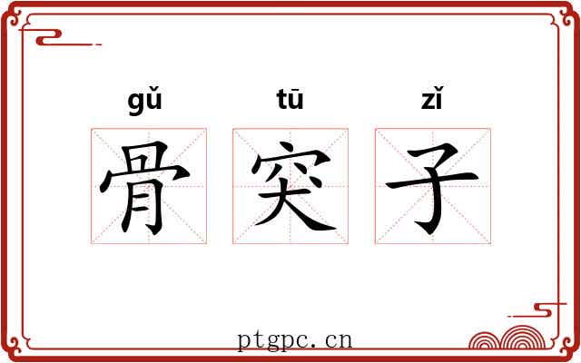 骨突子