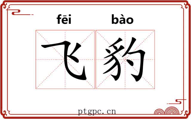 飞豹