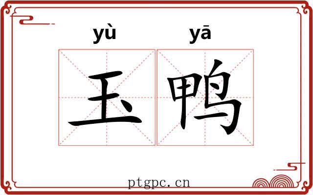 玉鸭