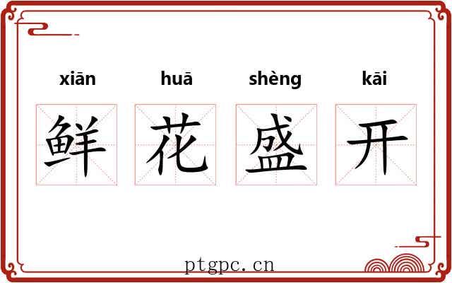 鲜花盛开 鲜花盛开