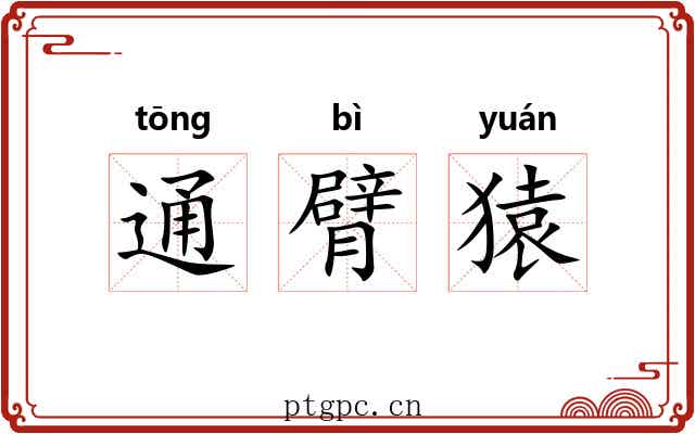 通臂猿