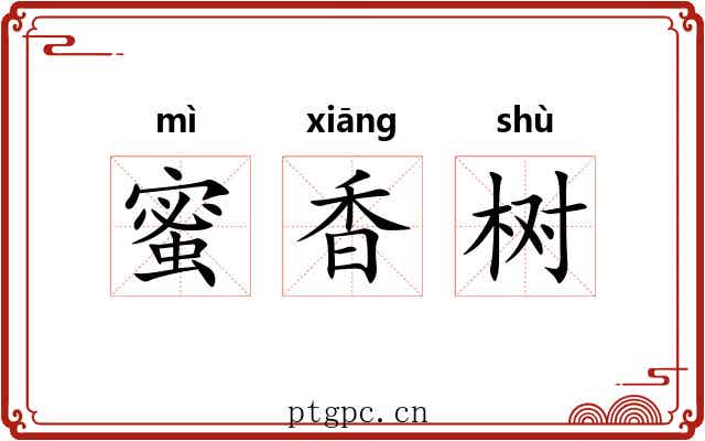 蜜香树 蜜香树