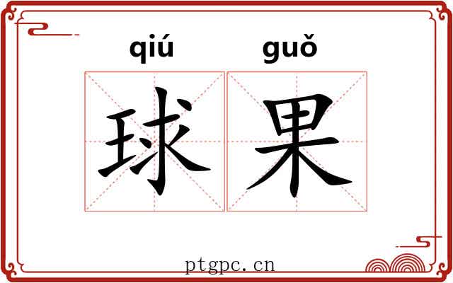 球果