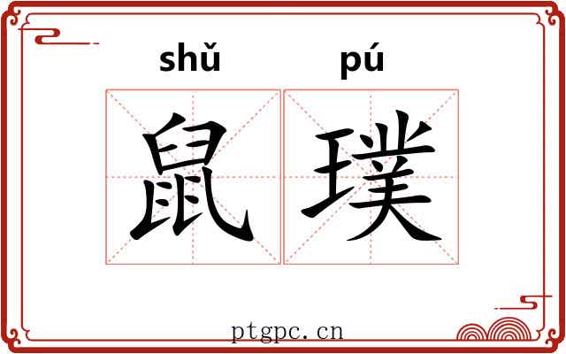 鼠璞