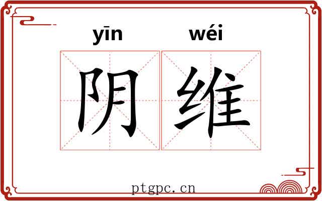 阴维 阴维