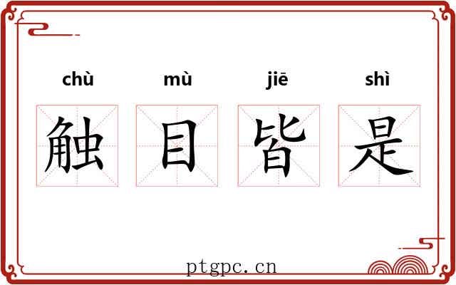 触目皆是 触目皆是
