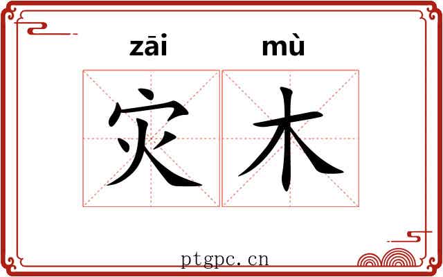 灾木
