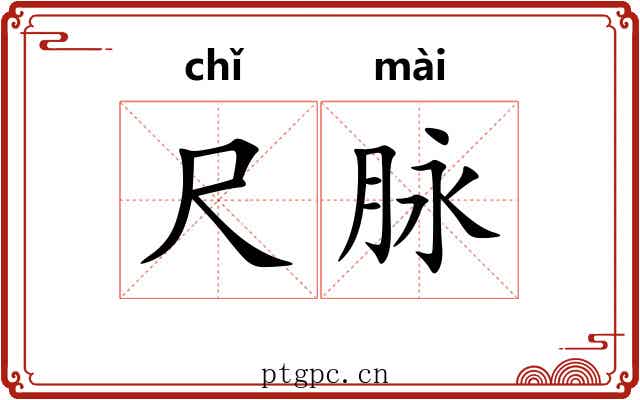 尺脉