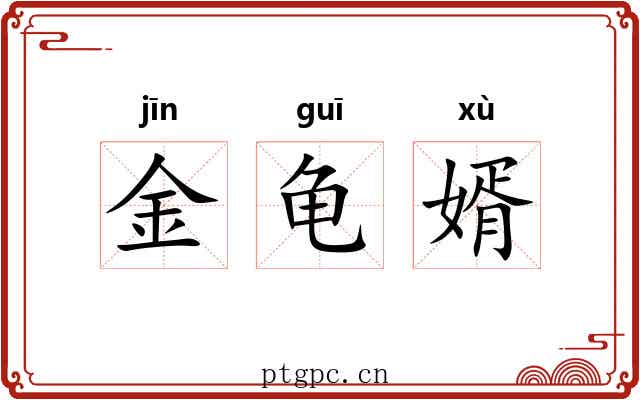 金龟婿