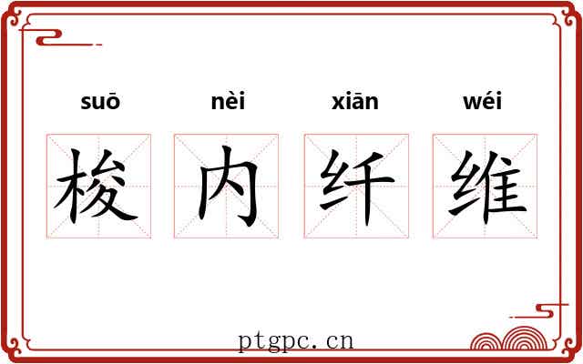 梭内纤维 梭内纤维