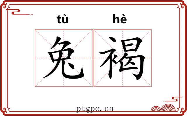 兔褐
