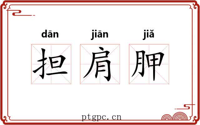 担肩胛