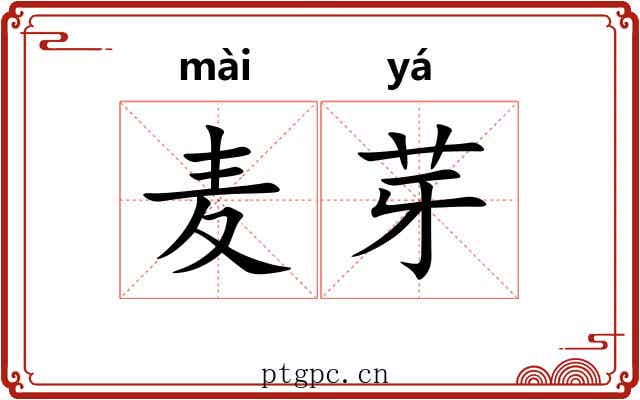 麦芽