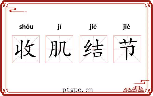收肌结节 收肌结节