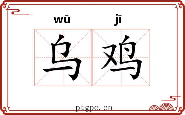 乌鸡