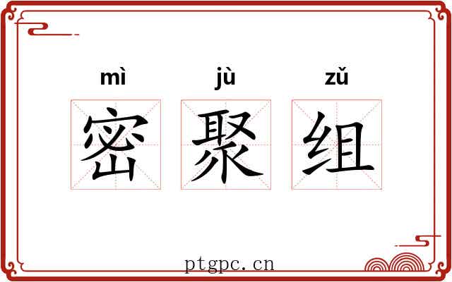 密聚组 密聚组