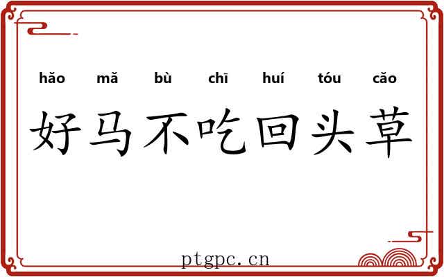 好马不吃回头草 好马不吃回头草