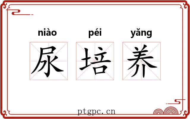 尿培养 尿培养