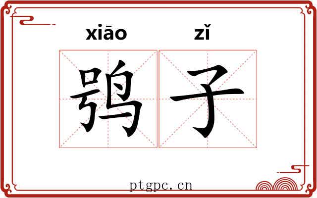 鸮子 鸮子