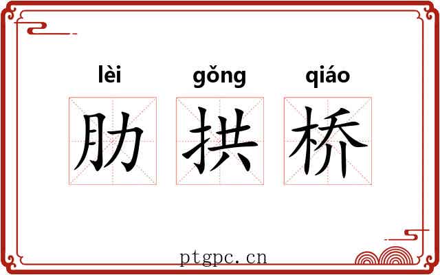 肋拱桥 肋拱桥
