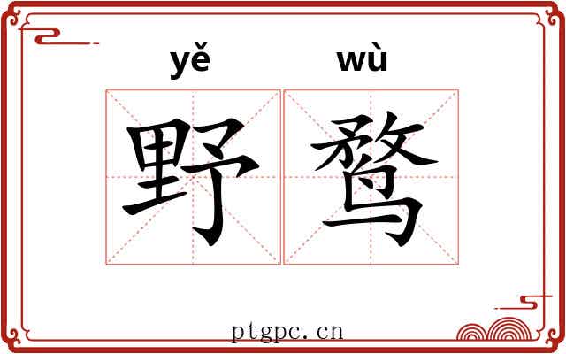 野鹜