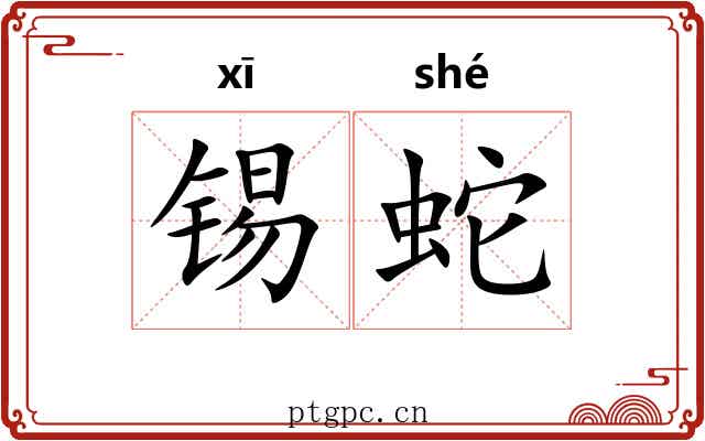 锡蛇