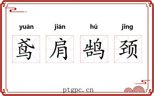 鸢肩鹄颈