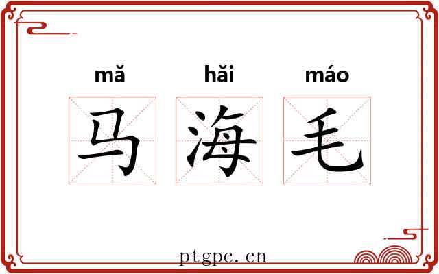 马海毛 马海毛