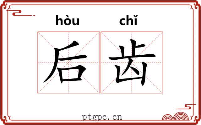 后齿 后齿