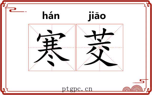 寒茭