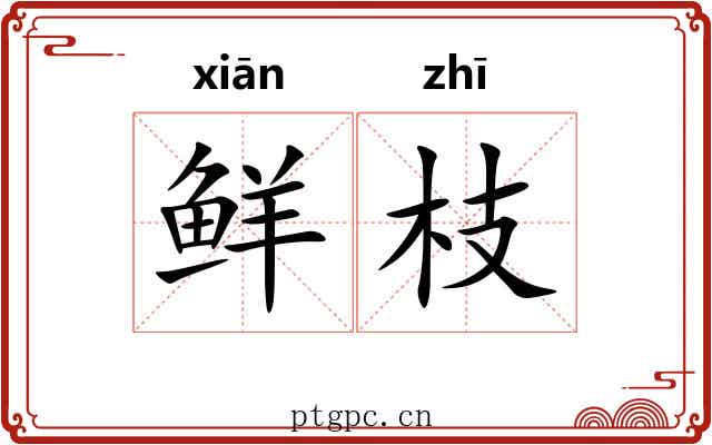 鲜枝 鲜枝