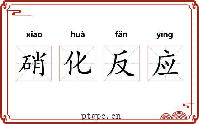 硝化反应 硝化反应